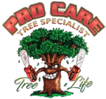 Pro Care Tree Logo 1 151x141